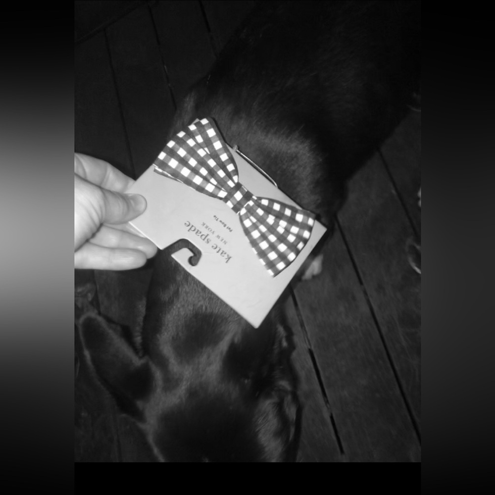 🐶 Kate Spade ♠️ Bow Tie, Leash and Collar, both Large. Tie 5” too precious! - Picture 6 of 6